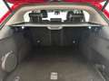 Alfa Romeo Stelvio Stelvio 2.2 t Super Q4 210cv auto Rosso - thumbnail 8