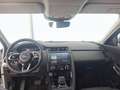 Jaguar E-Pace 2.0D D163 SE AUTO 4WD Bianco - thumbnail 8