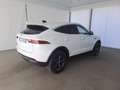 Jaguar E-Pace 2.0D D163 SE AUTO 4WD Bianco - thumbnail 2