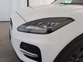 Jaguar E-Pace 2.0D D163 SE AUTO 4WD Bianco - thumbnail 14