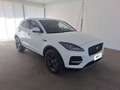 Jaguar E-Pace 2.0D D163 SE AUTO 4WD Bianco - thumbnail 5