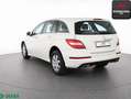 Mercedes-Benz R 300 CDI SPORTPAKET COMAND,KAMERA,GLASDACH,AHK Weiß - thumbnail 3