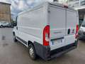 Fiat Ducato 2.3 MJT LH1 120CV Bianco - thumbnail 3