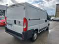 Fiat Ducato 2.3 MJT LH1 120CV Bianco - thumbnail 4