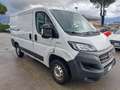 Fiat Ducato 2.3 MJT LH1 120CV Bianco - thumbnail 2