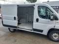 Fiat Ducato 2.3 MJT LH1 120CV Bianco - thumbnail 6