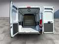 Opel Movano 2.2 Blue-HDI Cargo L2H2 140PS 6-Gang AHK 3.5 Tonne Weiß - thumbnail 19
