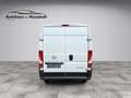 Opel Movano 2.2 Blue-HDI Cargo L2H2 140PS 6-Gang AHK 3.5 Tonne Weiß - thumbnail 5