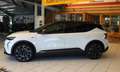 Renault Sonstige Scenic E-Tech  220 Long Range Esprit Alpine Weiß - thumbnail 9