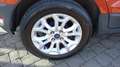Ford EcoSport EcoSport 1.5 tdci Titanium 95cv E6 Brun - thumbnail 18