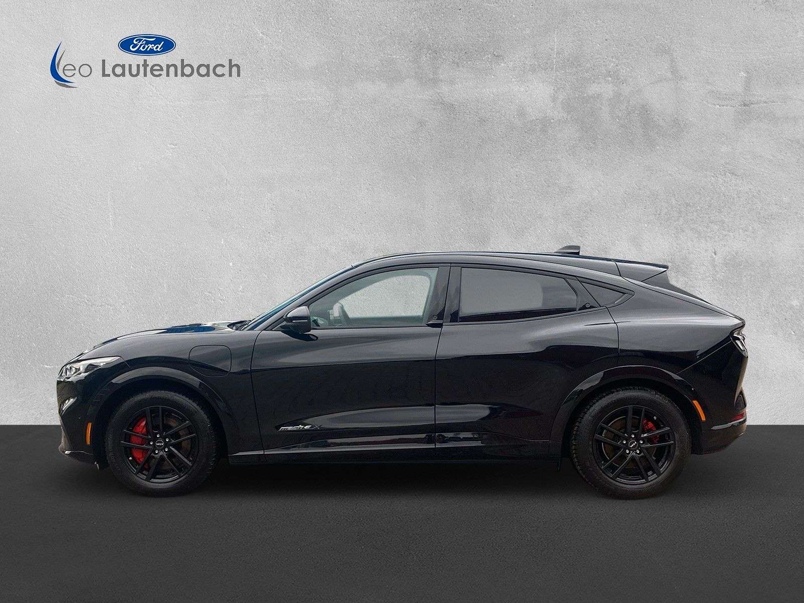 Ford Mustang Mach-E