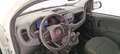 Fiat Panda 1.0 FireFly Hybrid Bianco - thumbnail 10
