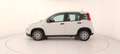 Fiat Panda 1.0 FireFly Hybrid Bianco - thumbnail 8