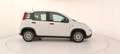 Fiat Panda 1.0 FireFly Hybrid Bianco - thumbnail 7