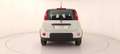 Fiat Panda 1.0 FireFly Hybrid Bianco - thumbnail 5