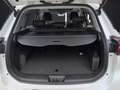 DR Automobiles DR6.0 1.5 Turbo Bi-Fuel GPL Bianco - thumbnail 17