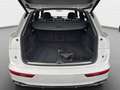 Audi SQ5 TDI QUATTRO *MATRIX*PANO*LUFT*B&O*21 ZOLL* Grau - thumbnail 10