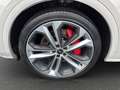 Audi SQ5 TDI QUATTRO *MATRIX*PANO*LUFT*B&O*21 ZOLL* Grijs - thumbnail 12