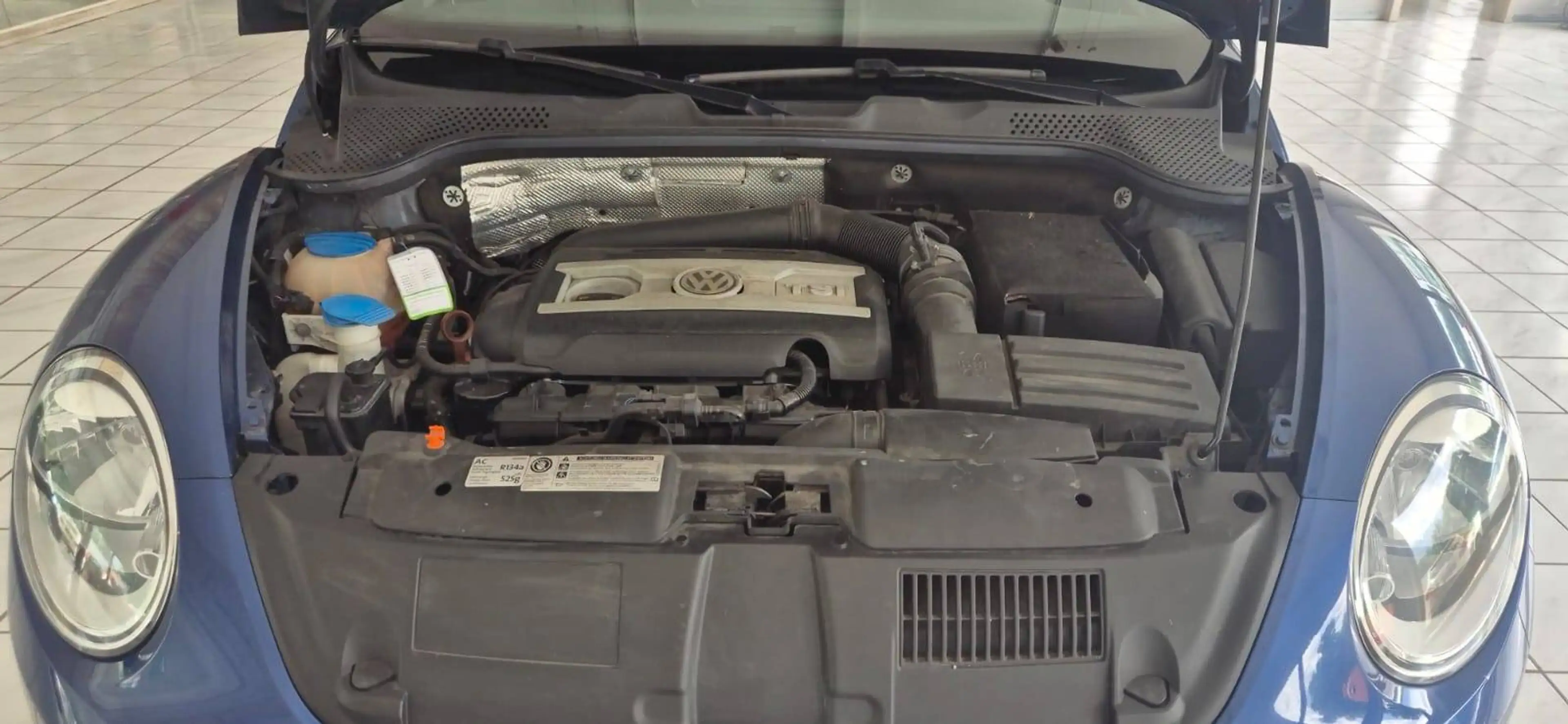 Volkswagen Beetle Sport — photo 13