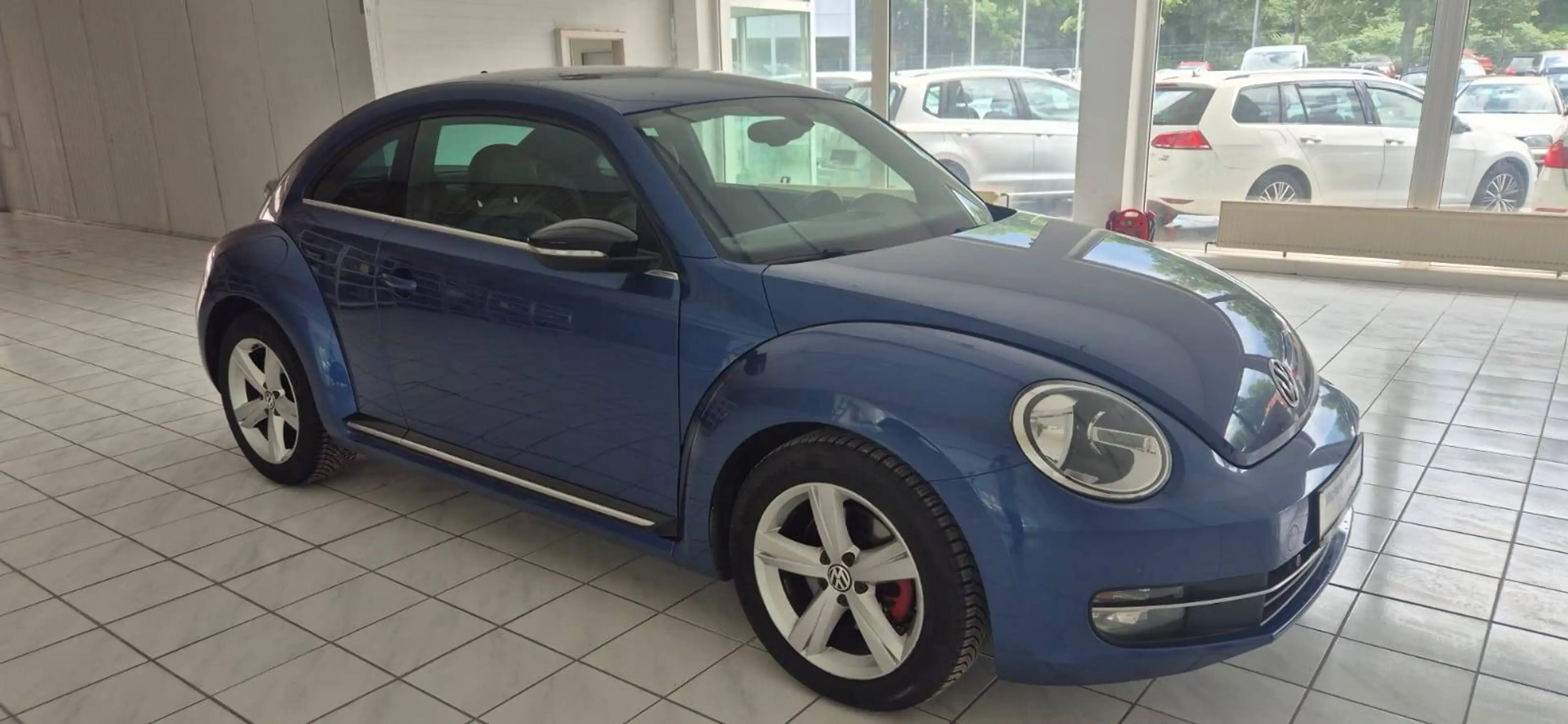 Volkswagen Beetle Sport — photo 3