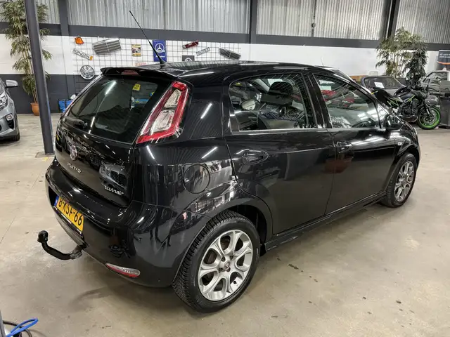 Fiat Punto Evo view 4
