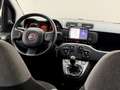 Fiat Panda Panda 1.0 Hybrid CarPlay No obbligo finanziamento! Grigio - thumbnail 8