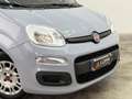 Fiat Panda Panda 1.0 Hybrid CarPlay No obbligo finanziamento! Grigio - thumbnail 12