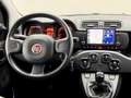 Fiat Panda Panda 1.0 Hybrid CarPlay No obbligo finanziamento! Grigio - thumbnail 10