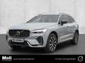 Volvo XC60 Plus Dark 2WD B4 Diesel EU6d Leder Digitales Cockp Gris - thumbnail 1