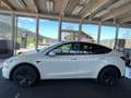 Tesla Model Y LR AWD 79kWh Weiß - thumbnail 3