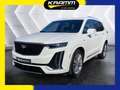Cadillac XT6 Premium Luxury AWD 3.6L V6 AHK+BOSE Weiß - thumbnail 1