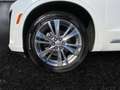 Cadillac XT6 Premium Luxury AWD 3.6L V6 AHK+BOSE Weiß - thumbnail 9