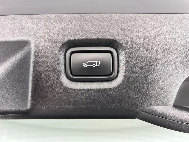 Hyundai Ioniq 5 view 19