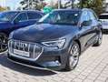 Audi e-tron 55 qu advanced HuD Matrix Navi Pano Leder Grau - thumbnail 11