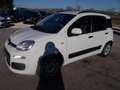 Fiat Panda Panda III 2012 1.2 Easy 69cv E6 Bianco - thumbnail 2