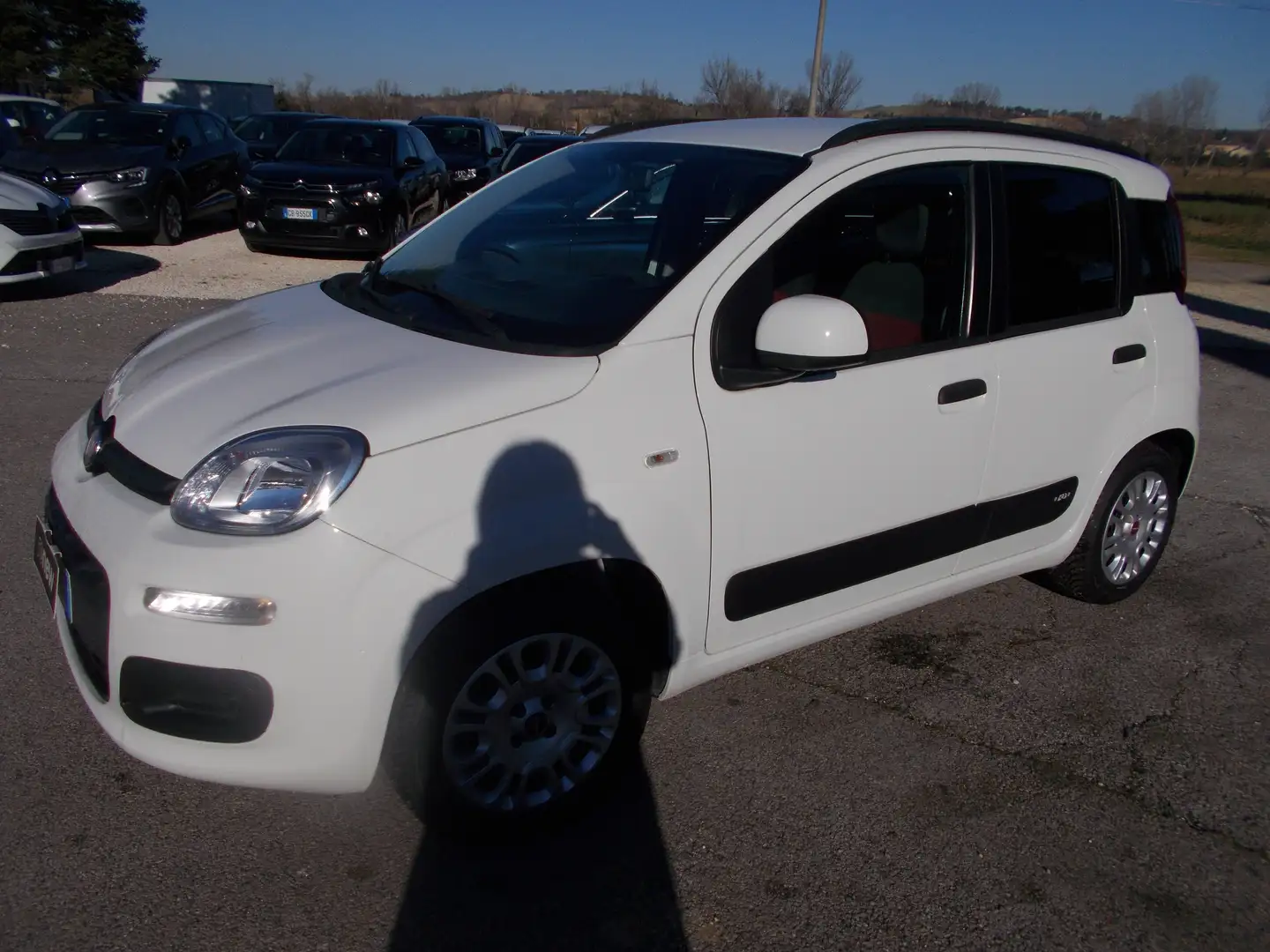 Fiat Panda Panda III 2012 1.2 Easy 69cv E6 Bianco - 2