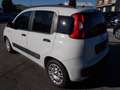 Fiat Panda Panda III 2012 1.2 Easy 69cv E6 Bianco - thumbnail 3