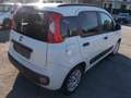 Fiat Panda Panda III 2012 1.2 Easy 69cv E6 Bianco - thumbnail 5