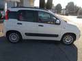 Fiat Panda Panda III 2012 1.2 Easy 69cv E6 Bianco - thumbnail 6