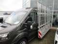 Ford Transit 330 L3H2  Trend/RFK/PPS/SHZ/FSB/Klima Grau - thumbnail 17