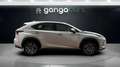 Lexus NX 300 300h Business 2WD Plateado - thumbnail 7
