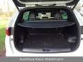 Kia Sportage 2.0 CRDi AWD GT-Line Aut. - 3.Hd./135 T Blanc - thumbnail 5