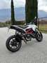 Ducati Hypermotard 939 Alb - thumbnail 2