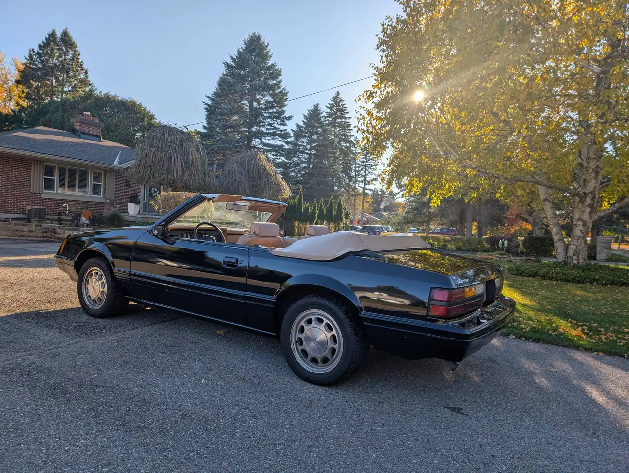 1984 Ford Mustang