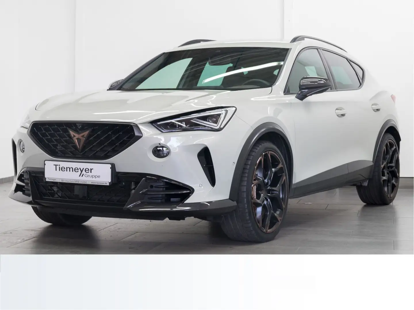 CUPRA Formentor VZ5 TAIGA EDITION BEATS eSITZ LM20 CAM Grau - 2