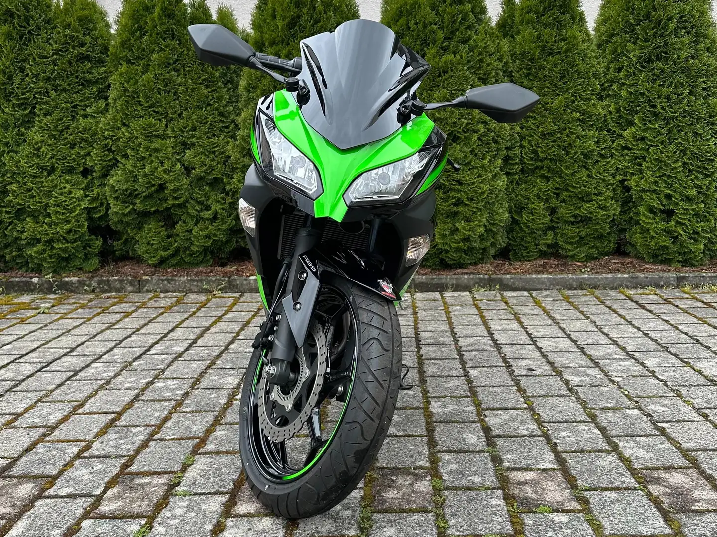 Kawasaki Ninja 300 ABS Negru - 2