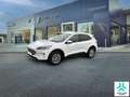 Ford Kuga 1.5T EcoBoost 110kW (150CV) Titanium Wit - thumbnail 1