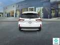 Ford Kuga 1.5T EcoBoost 110kW (150CV) Titanium Wit - thumbnail 5