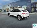 Ford Kuga 1.5T EcoBoost 110kW (150CV) Titanium Wit - thumbnail 7