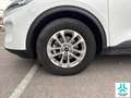 Ford Kuga 1.5T EcoBoost 110kW (150CV) Titanium Wit - thumbnail 13